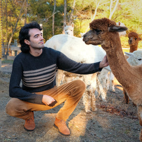 Fluff Men's Overlook Striped Raglan Baby Alpaca Crewneck